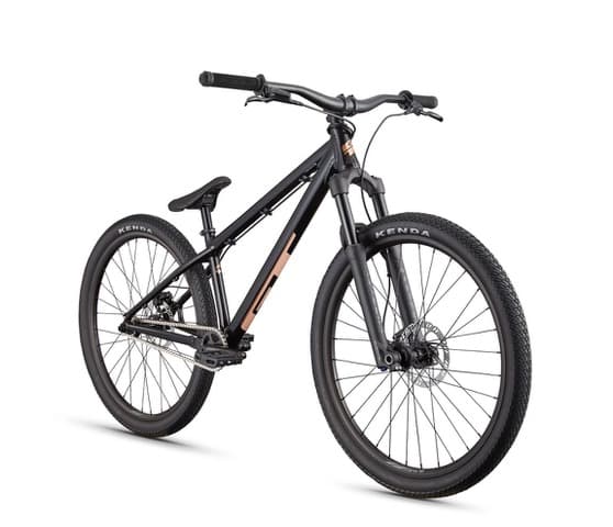 GT Labomba Pro Dirt Jump Bike, Size Large
