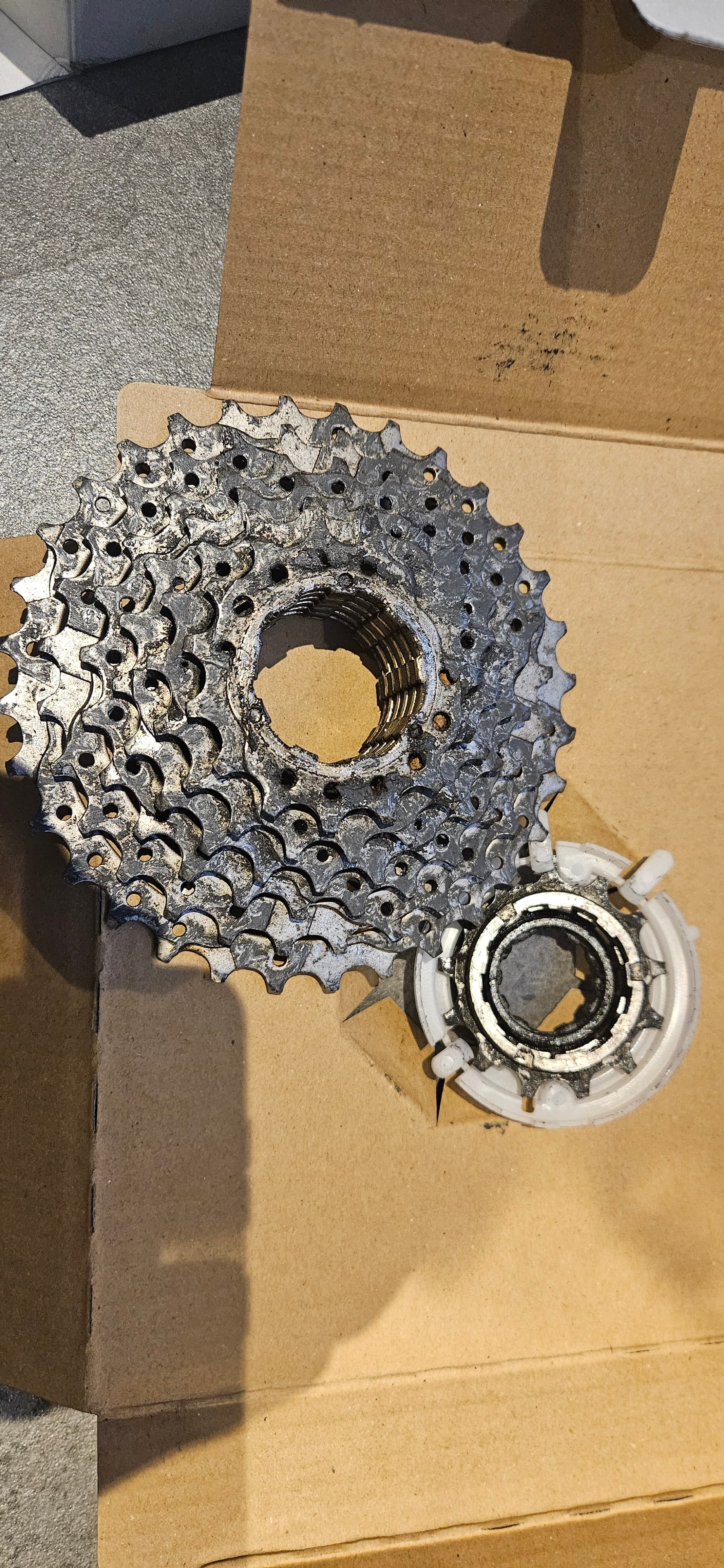 Main image 2