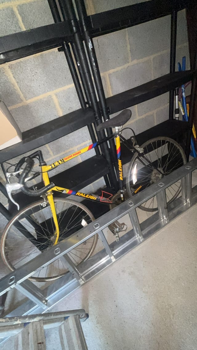 Raleigh banana