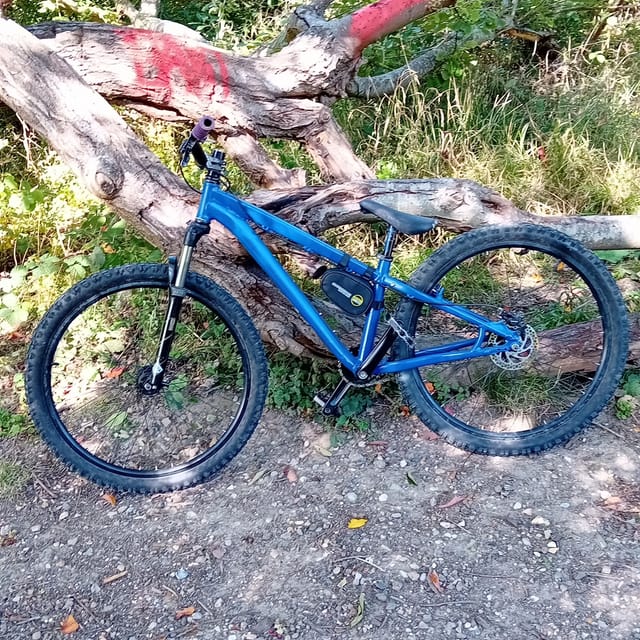 Custom specialised dirtjumper